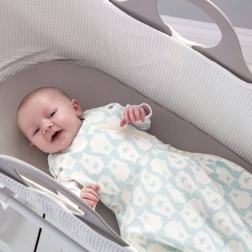 2 in 1 best sale swaddle and newborn grobag