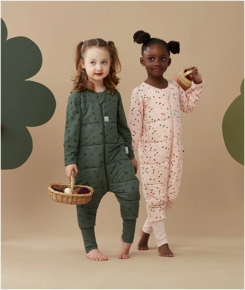 ergoPouch Sleep Onesie 3.5 TOG Veggie Patch 2 3 Years Buy