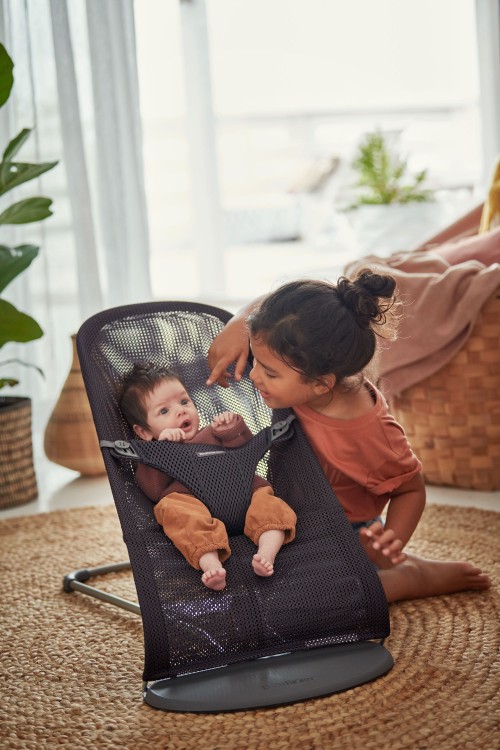 Babybjorn bouncer sale bliss air